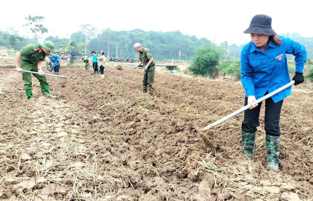 Đẩy mạnh khôi phục sản xuất nông nghiệp sau bão số 3