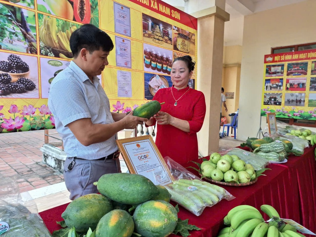 Huy động nguồn lực, hoàn thiện các tiêu chí Nông thôn mới kiểu mẫu