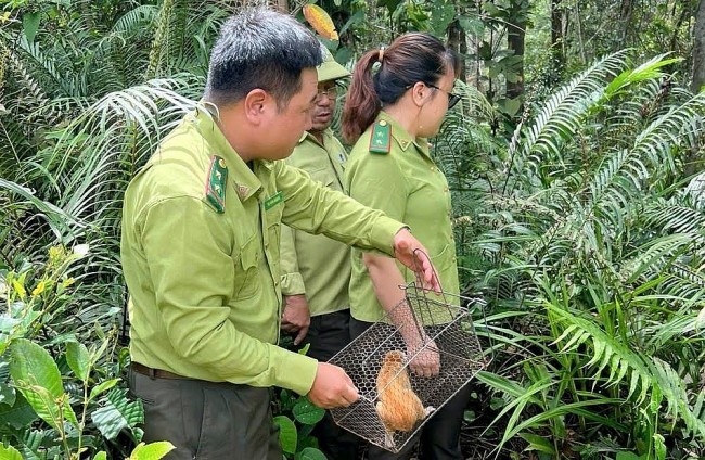 Khu bảo tồn thiên nhiên An Toàn được quy hoạch thành vườn quốc gia