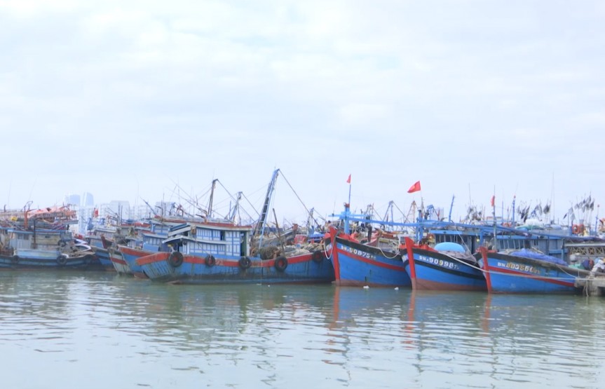 Bão Trà Mi di chuyển chậm, có khả năng suy yếu