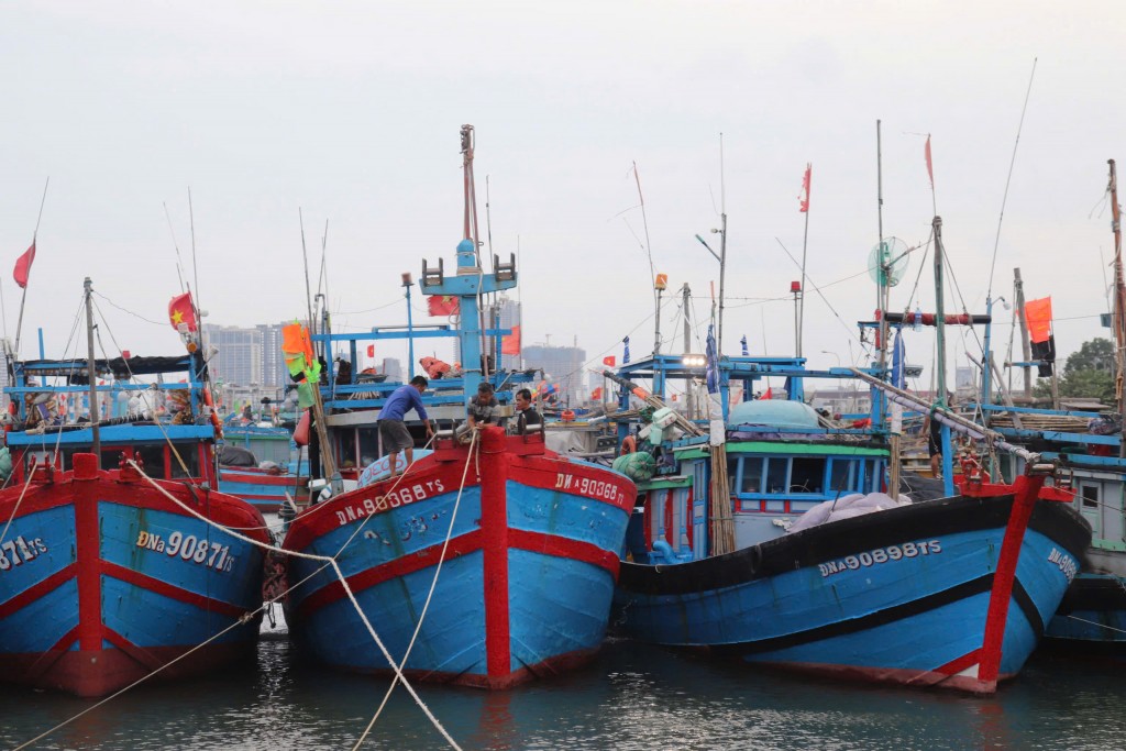 Nhiều ngư dân khẩn trương gia cố tàu thuyền nhằm giảm thiểu nguy cơ hư hỏng, đảm bảo an toàn cho tài sản khi bão đổ bộ (Ảnh Đ.Minh)