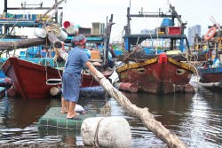 Đà Nẵng: Tàu cá ngư dân khẩn trương vào cảng tránh trú bão