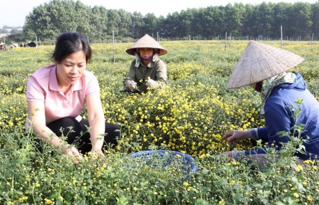 Hà Nội xây dựng thành công nhiều mô hình khuyến nông