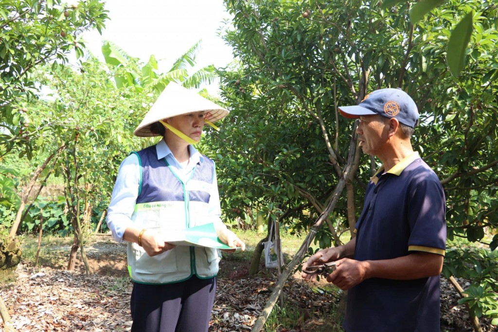 Khuyến nông Thủ đô cùng nông dân vượt khó, khôi phục sản xuất