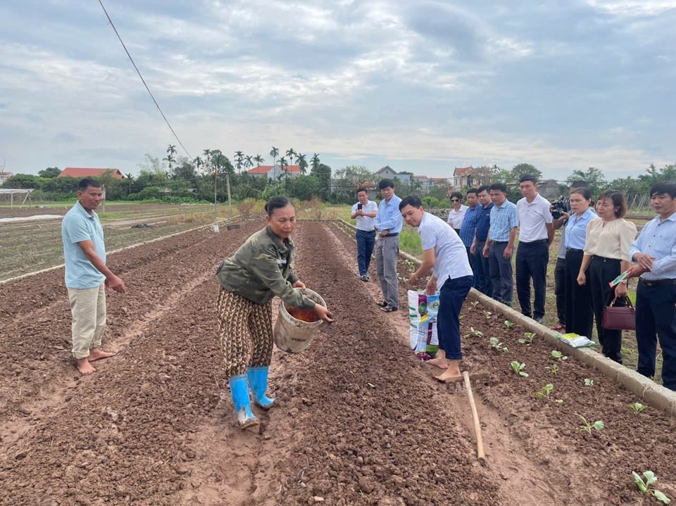 Hà Nội xây dựng thành công nhiều mô hình khuyến nông