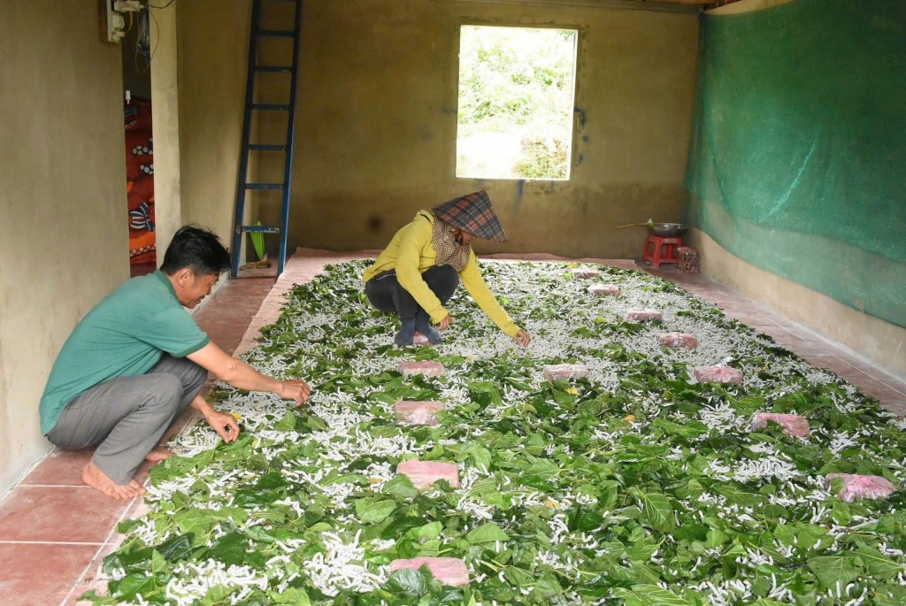 Tăng cường kết nối, quảng bá nông sản giữa Hà Nội và Kon Tum