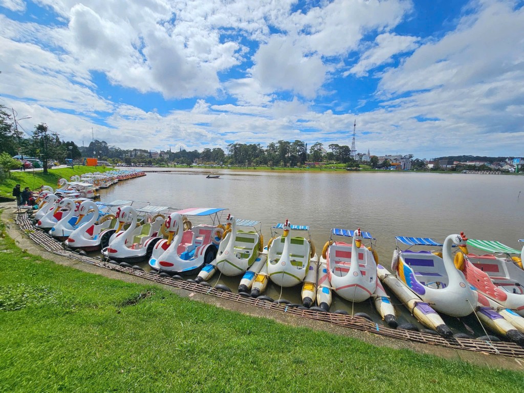 hoạt động đạp Pedalo (đạp vịt) ngắm cảnh, thư giãn trên thắng cảnh hồ Xuân Hương mang tính biểu tượng của du lịch Đà Lạt tồn tại suốt 30 năm qua (Ảnh CTV)