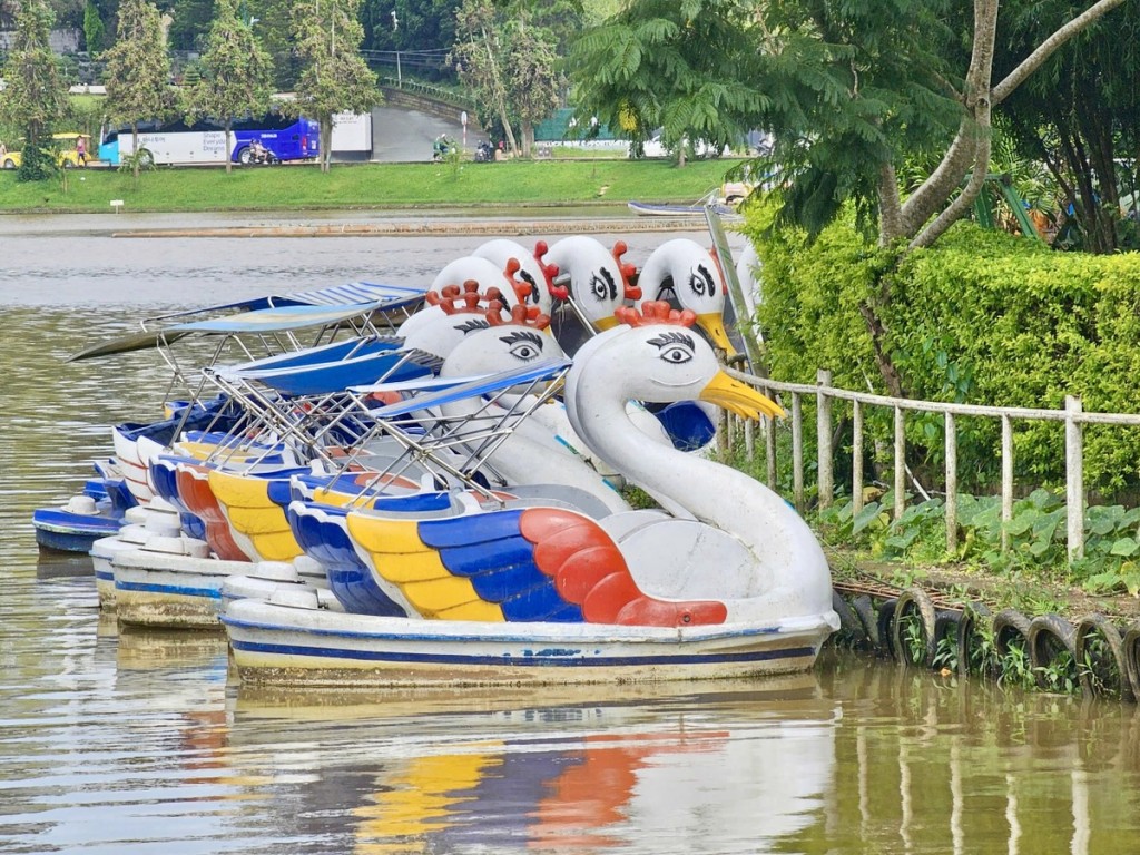 Nhiều chiếc Pedalo đạp vịt nằm trơ trọi trên mặt hồ Xuân Hương để chờ cấp phép hoạt động trở lại (Ảnh CTV)