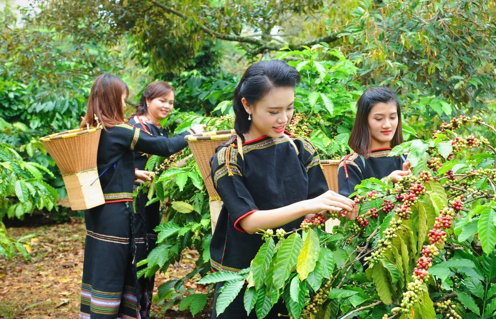 Bảo đảm kết nối nội vùng và liên vùng theo hướng đồng bộ, hiện đại