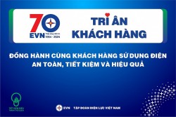 EVN triển khai tháng tri ân khách hàng 2024