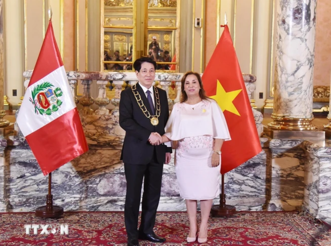 Lễ trao Hu&acirc;n chương &lsquo;Mặt trời Peru&rsquo; cấp Đại Thập tự tặng Chủ tịch nước Lương Cường ảnh 5