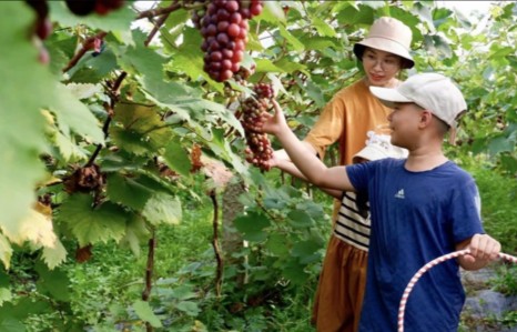 Hà Nội ưu tiên phát triển kinh tế tập thể gắn với tăng trưởng xanh, du lịch trải nghiệm