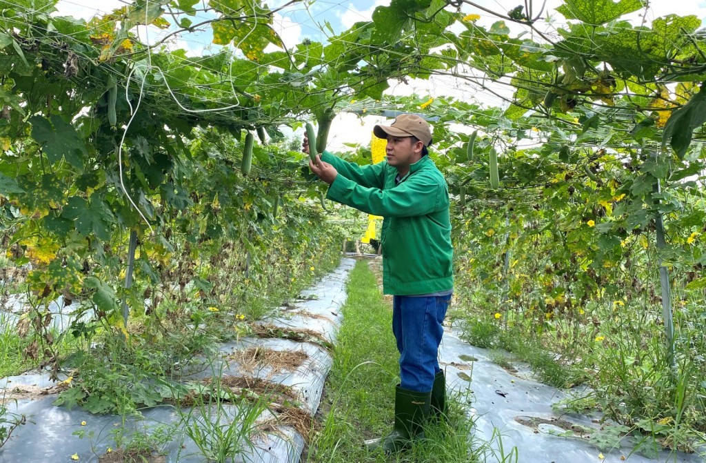 Thành phố Hà Nội ưu tiên phát triển nông nghiệp công nghệ cao, nông nghiệp đô thị, sinh thái, sản xuất nông sản sạch, nông nghiệp hữu cơ, sản phẩm OCOP Thành phố Hà Nội ưu tiên phát triển nông nghiệp công nghệ cao, nông nghiệp đô thị, sinh thái, sản xuất nông sản sạch, nông nghiệp hữu cơ, sản phẩm OCOP