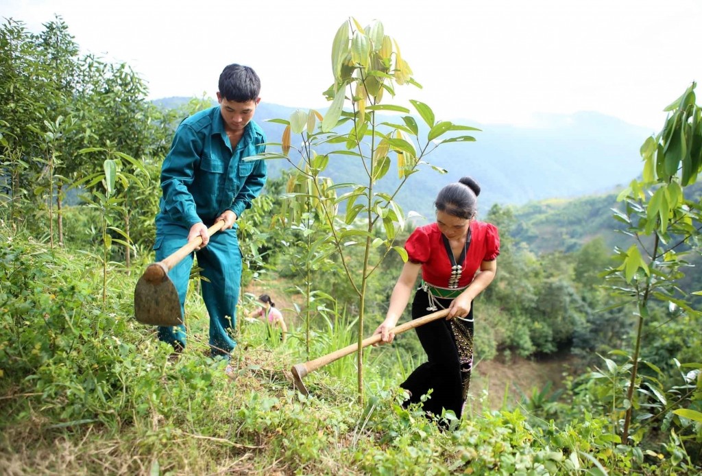 Ảnh minh họa