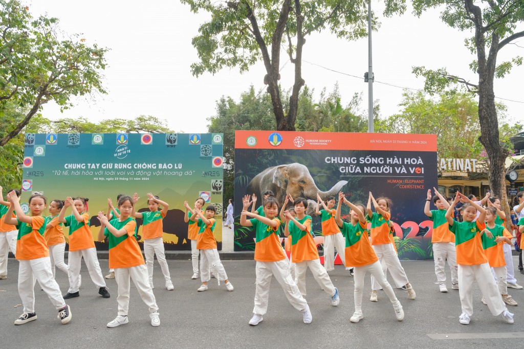 Mỗi bước nhảy, mỗi nụ cười đều góp phần lan tỏa thông điệp yêu thiên nhiên và kêu gọi cộng đồng chung tay bảo vệ môi trường sống.