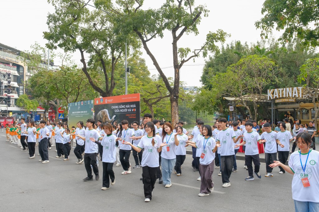 5.000 người nhảy flashmob lan tỏa thông điệp bảo vệ rừng và động vật hoang dã