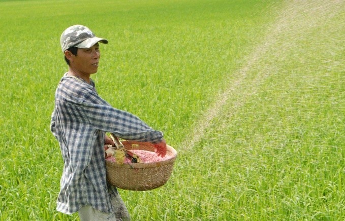 “Ba nhà” chịu thiệt như thế nào khi phân bón không chịu thuế GTGT?