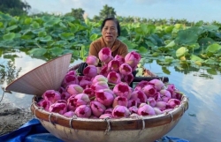 Người Hà Nội thực hiện "Lời nói hay, việc làm tốt, phong cách đẹp"