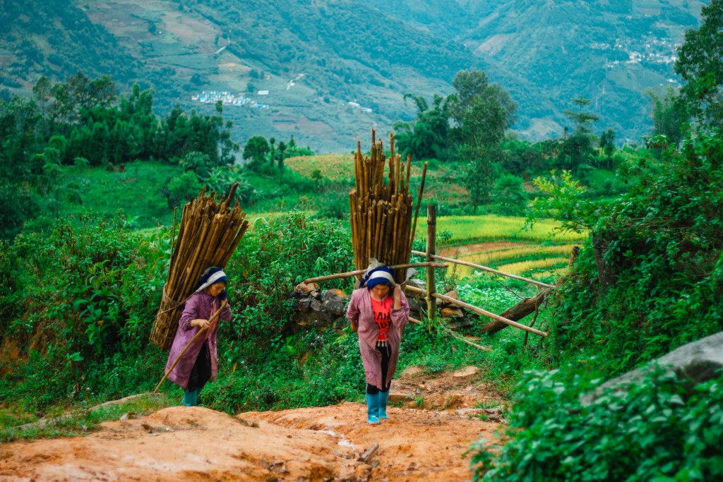 Chàng nghệ sĩ trẻ Hà Nội gây ấn tượng với triển lãm 