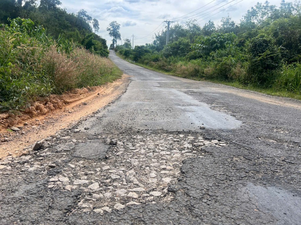 Kon Tum: Quốc lộ 14C dọc tuyến biên giới hư hỏng nghiêm trọng