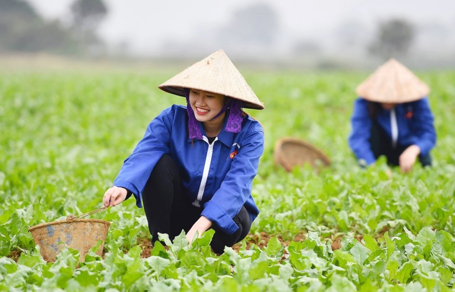 Sáng nay, Chủ tịch UBND TP đối thoại với nông dân Thủ đô