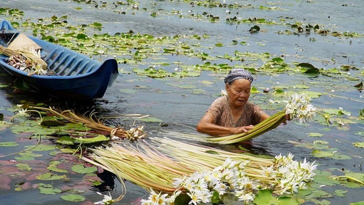 Mùa nước nổi là dịp lý tưởng để trải nghiệm văn hóa, ẩm thực và đời sống của người dân vùng sông nước (Ảnh: THANH HUYỀN) 