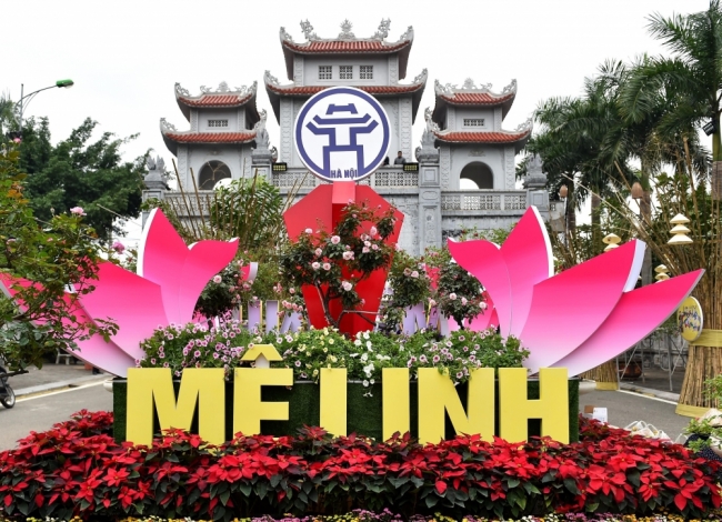 Đón chờ festival hoa Mê Linh