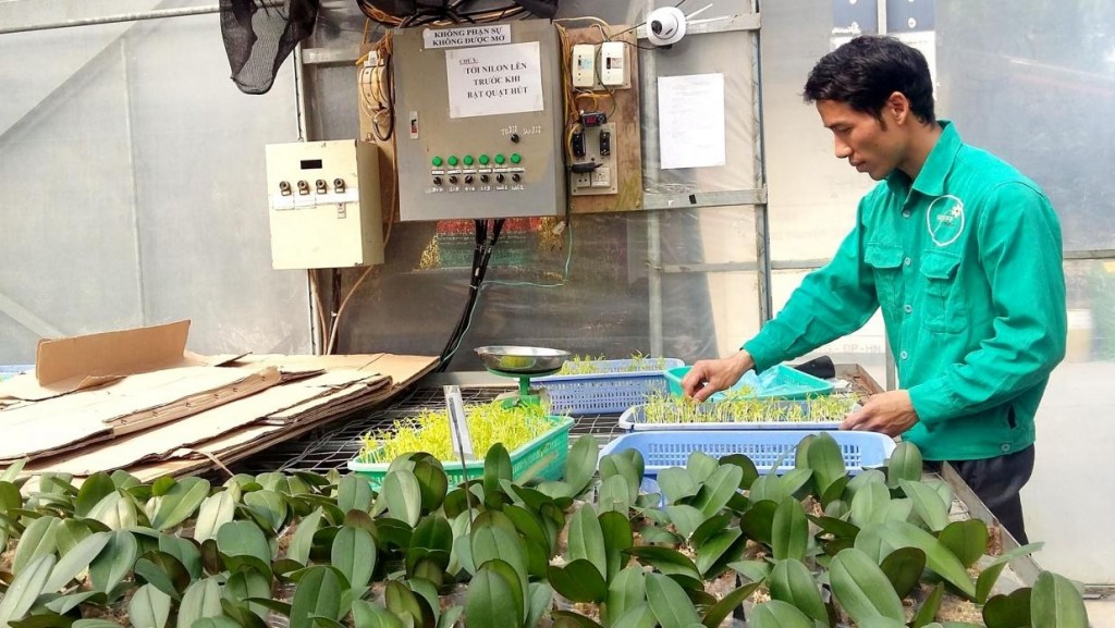 Tạo đột phá phát triển khoa học, công nghệ trong ngành Nông nghiệp và Môi trường