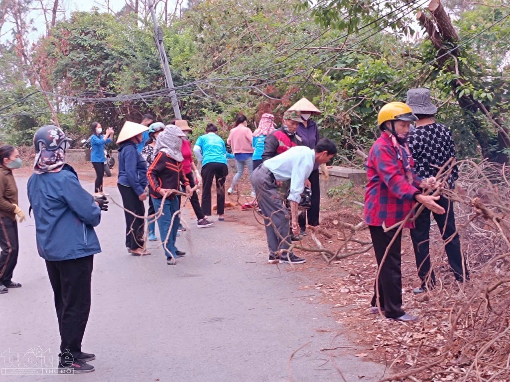 Hải Phòng: Quận Kiến An trú trọng công tác phòng, chống cháy rừng