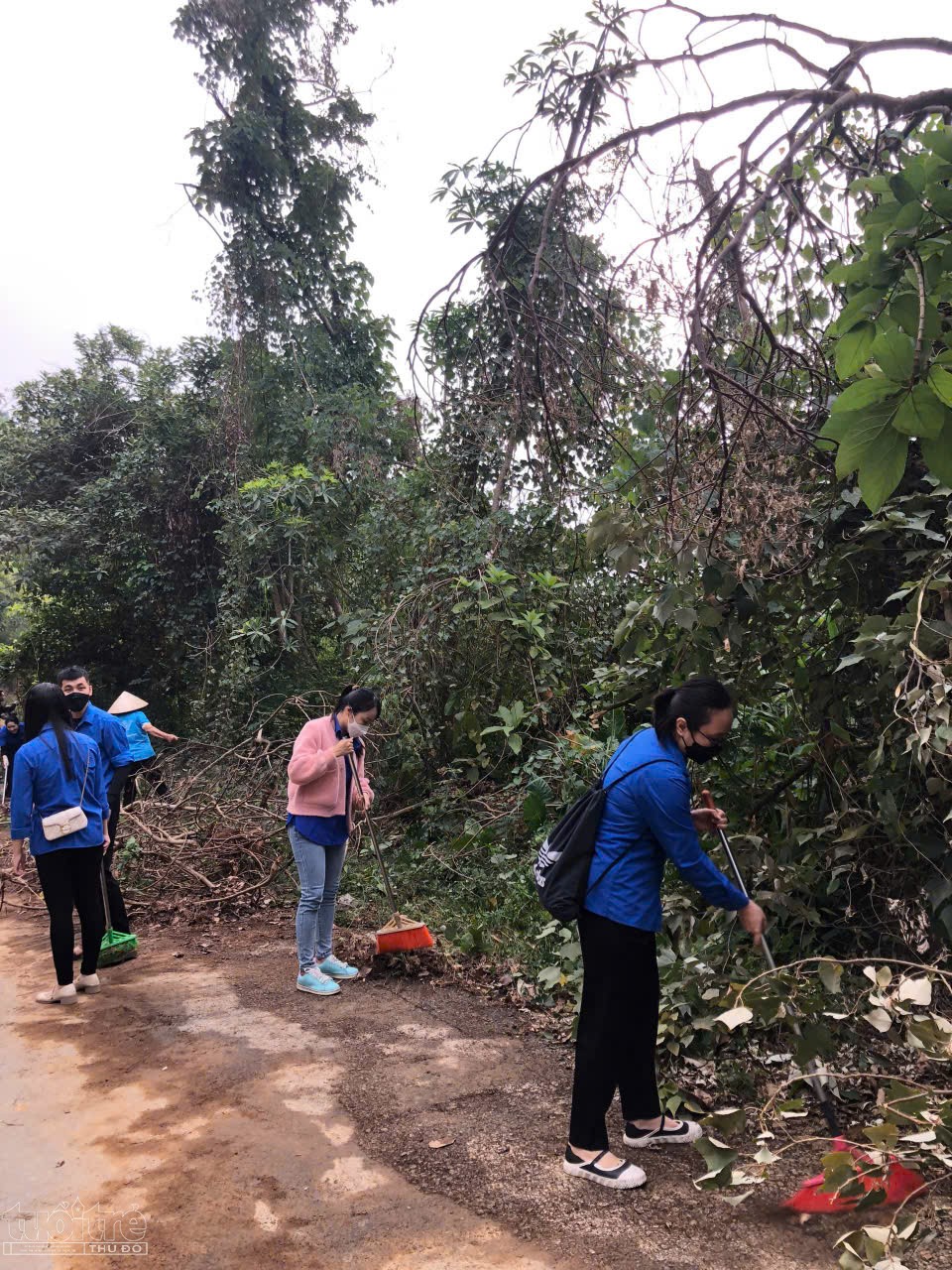 Hải Phòng: Quận Kiến An trú trọng công tác phòng, chống cháy rừng