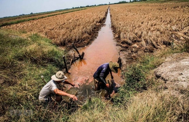 Chủ động phòng, chống hạn hán, thiếu nước, xâm nhập mặn