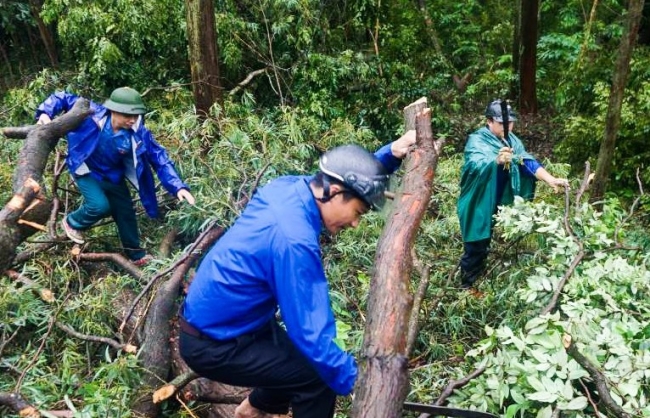 Tuổi trẻ Thanh Hóa xung kích, tình nguyện, đảm bảo an sinh xã hội