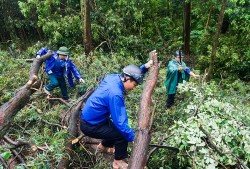 Tuổi trẻ Thanh Hóa xung kích, tình nguyện, đảm bảo an sinh xã hội