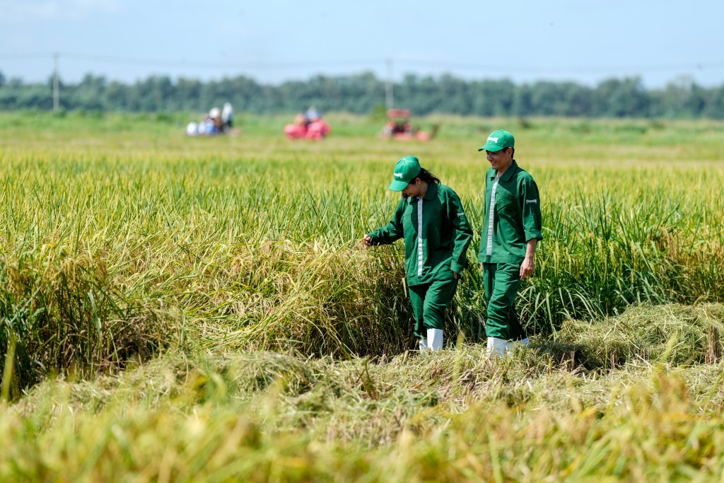 “Không làm gì cả” - Đối với mảnh đất “khó” này, đây chính là nỗ lực đầu tiên của Vinamilk, với mục tiêu cho đất hoàn toàn nghỉ ngơi, tự cân bằng sinh học. Tiếp nhận lại dự án này từ một đơn vị khác đã thất bại trong việc làm nông nghiệp từ năm 2016, Vinam