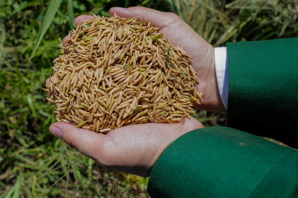 “Không gì là không thể” – không phải là một phương pháp canh tác hay công nghệ mới, mà chính là ở tinh thần và sự kiên trì với con đường làm nông nghiệp bền vững mà doanh nghiệp theo đuổi. “Từ mảnh đất không ai tin có thể “trồng trọt” được huống gì là trồng lúa, nay sản lượng đã lên đến 4-5 tấn lúa cho mỗi hecta, còn là giống lúa mệnh danh ngon nhất nhì thế giới. Điều này càng giúp anh em tại trang trại tin tưởng rằng không có gì là không thể “Không gì là không thể” – không phải là một phương pháp canh tác hay công nghệ mới, mà chính là ở tinh thần và sự kiên trì với con đường làm nông nghiệp bền vững mà doanh nghiệp theo đuổi. “Từ mảnh đất không ai tin có thể “trồng trọt” được huống gì là trồ