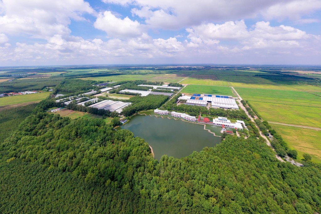 Tầm giữa tháng 11, giữa bạt ngàn màu xanh của đồng cỏ, hồ nước ở Vinamilk Green Farm Tây Ninh xuất hiện một sắc vàng xuộm của hơn 100ha cánh đồng lúa ST25 đang vào mùa gặt. Đây là năm thứ 4 trang trại này trồng thành công giống lúa ngon nhất thế giới trên nền đất sét pha cát cằn cỗi. Qua mỗi năm sản lượng và chất lượng lúa đều tăng dần. Tầm giữa tháng 11, giữa bạt ngàn màu xanh của đồng cỏ, hồ nước ở Vinamilk Green Farm Tây Ninh xuất hiện một sắc vàng xuộm của hơn 100ha cánh đồng lúa ST25 đang vào mùa gặt. Đây là năm thứ 4 trang trại này trồng thành công giống lúa ngon nhất thế giới trên