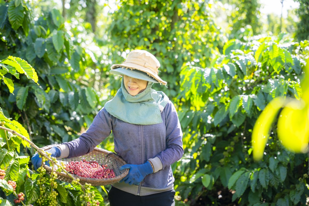 Chương trình NESCAFÉ Plan được vinh danh ở hạng mục cao nhất  “Giải thưởng năm”