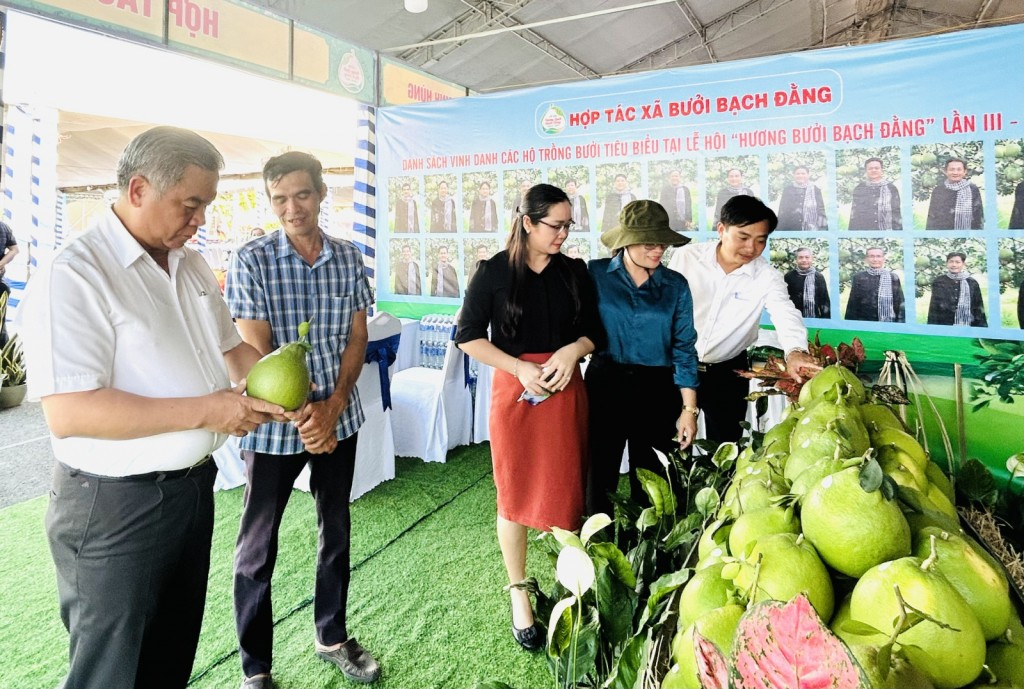 Du khách tham quan các vườn trái cây tại Lễ hội Hương Bưởi Bạch Đằng (Ảnh: Cẩm Lý)