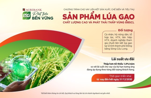 Agribank cho vay liên kết sản xuất, chế biến và tiêu thụ sản phẩm lúa gạo chất lượng cao và phát thải thấp vùng ĐBSCL