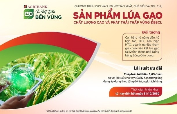 Cho vay liên kết sản xuất, chế biến, tiêu thụ sản phẩm lúa gạo