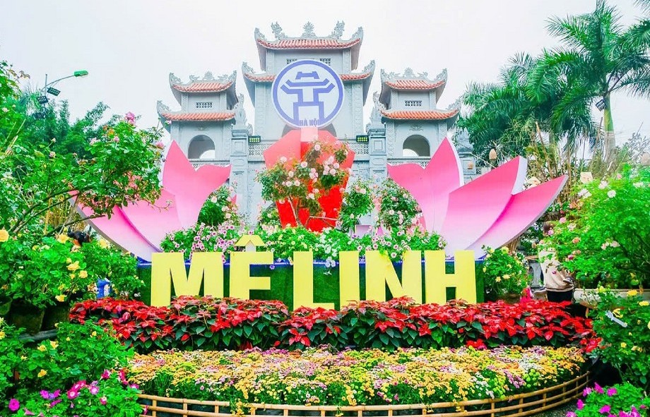 Lễ hội hoa lớn nhất miền Bắc diễn ra  tại Mê Linh ngày 26 - 29/12