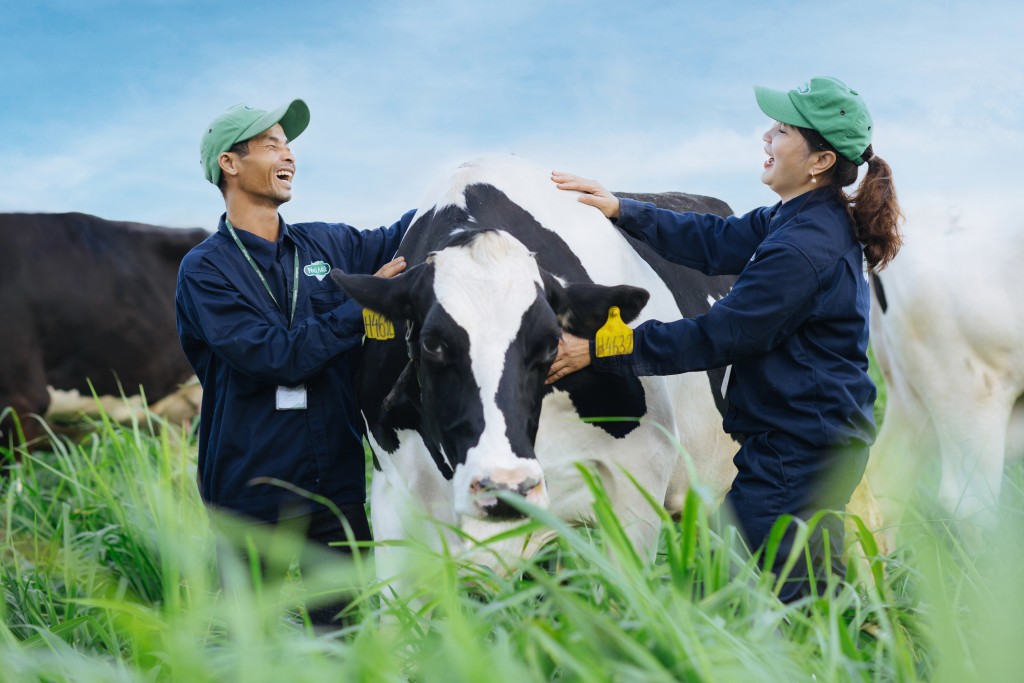 Để đảm bảo chất lượng sữa tốt và đồng nhất, quy trình chăn nuôi tại Trang trại được kiểm soát chặt chẽ từ chế độ chăm sóc cho đến nguồn thức ăn