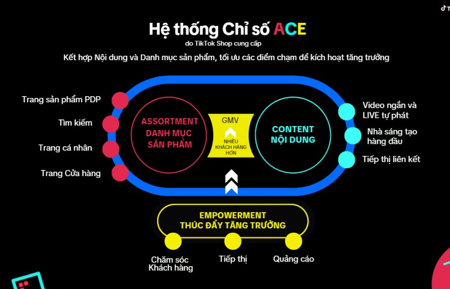 Bí quyết bứt phá nhờ ứng dụng thành công Hệ thống chỉ số ACE từ TikTok Shop