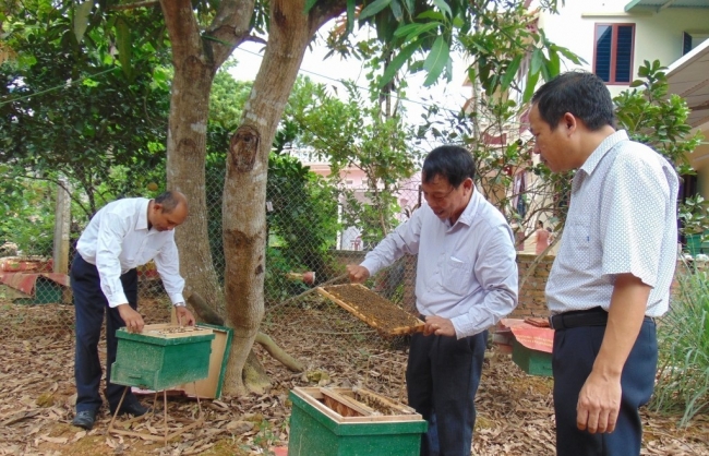 Xây dựng chuỗi liên kết sản xuất và tiêu thụ sản phẩm nông nghiệp bền vững