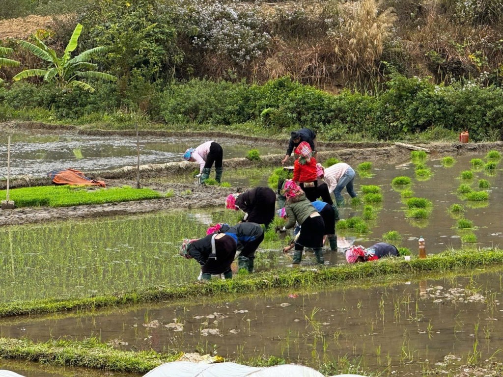 Ảnh của Nhiếp ảnh gia Đinh Quang Tiến