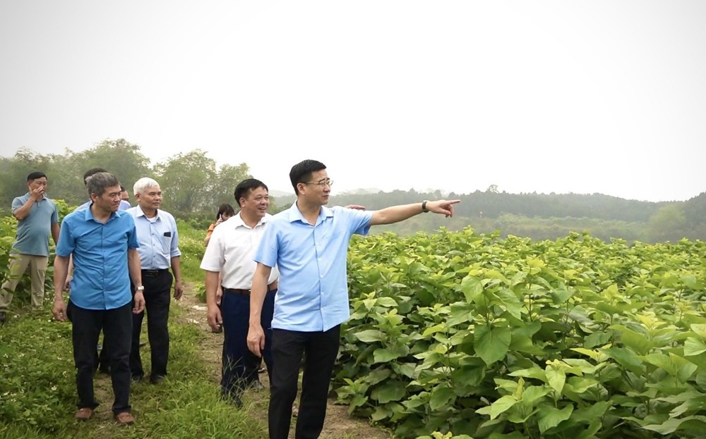 Bí quyết để Văn Yên về “đích” huyện Nông thôn mới trước thời hạn