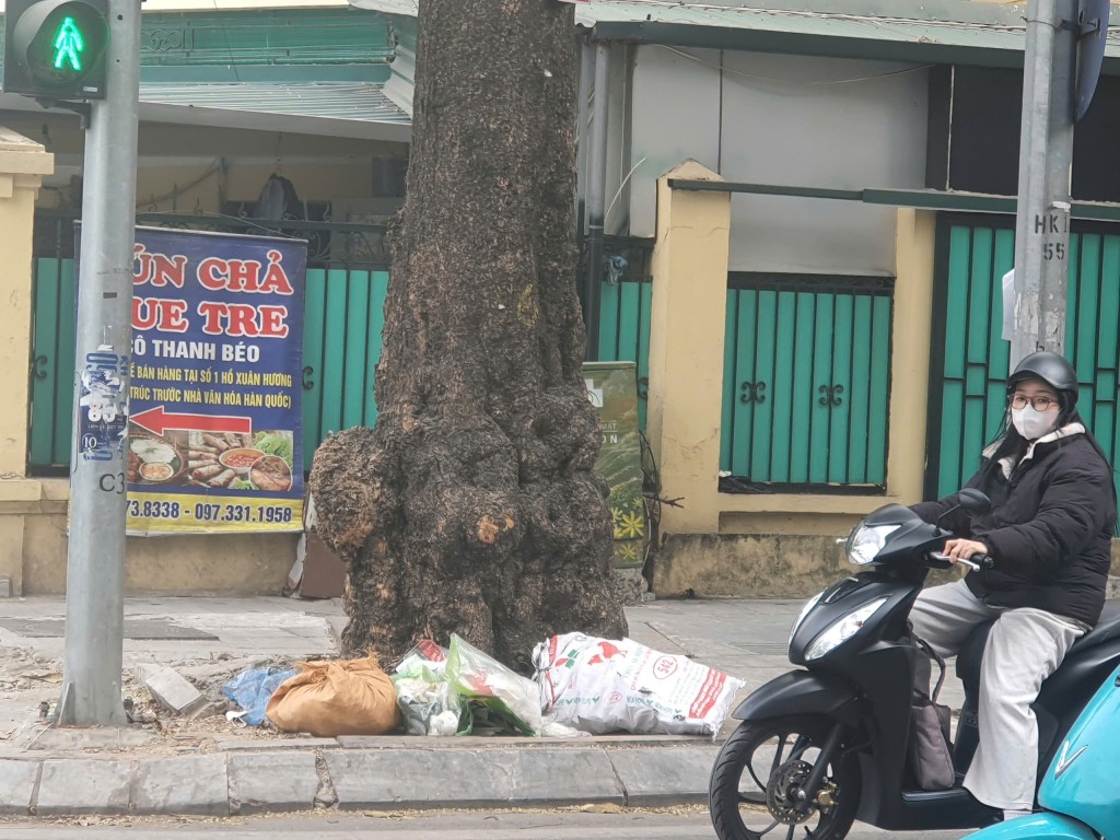 Nhiều địa phương lơ là trong quản lý môi trường, trật tự đô thị