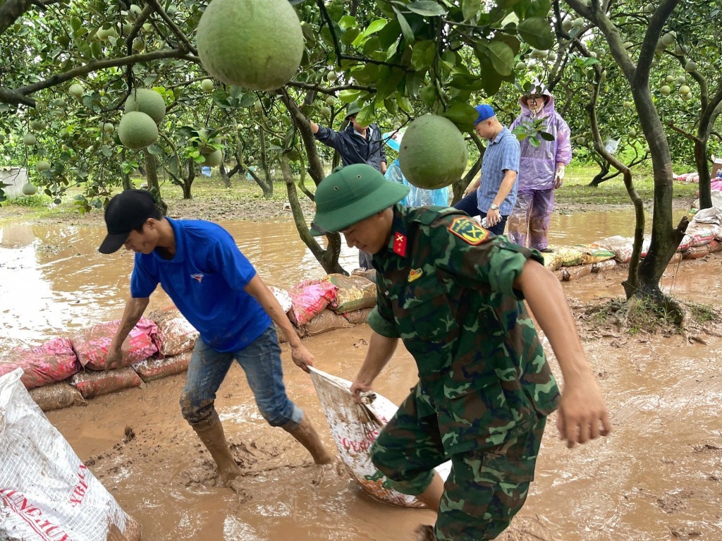 Thanh niên tình nguyện và chiến sĩ trẻ be bờ ngăn nước ngập