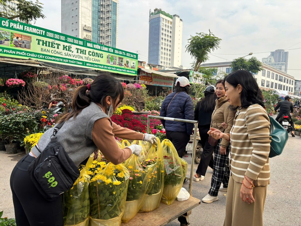 Đi chợ hoa xuân để thấy Tết về