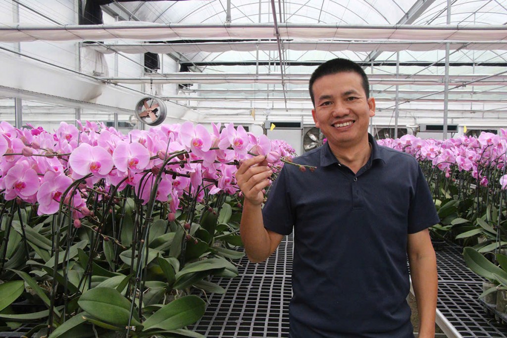 Anh Phạm Văn Huy cho biết: “Hiện tại giá mỗi cây hoa đang được bán tại vườn dao động từ 160.000 - 220.000 đồng, tùy loại. Đối với các chậu hoa nhiều cành hoa, được thiết kế cầu kỳ, giá trung bình giao động tiền triệu, cao nhất hiện lên đến 22 triệu đồng”. Anh Phạm Văn Huy cho biết: “Hiện tại giá mỗi cây hoa đang được bán tại vườn dao động từ 160.000 - 220.000 đồng, tùy loại. Đối với các chậu hoa nhiều cành hoa, được thiết kế cầu kỳ, giá trung bình giao động tiền triệu, cao nhất hiện lên đến 22 triệu đồng”.
